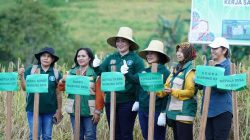 Optimalisasi Lahan Terbengkalai Jadi Fokus Pembangunan Pertanian Pemkab Mura